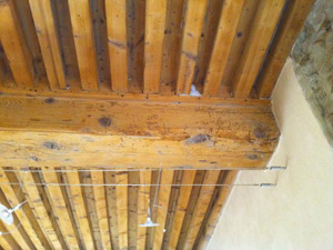 Plafond bois termites